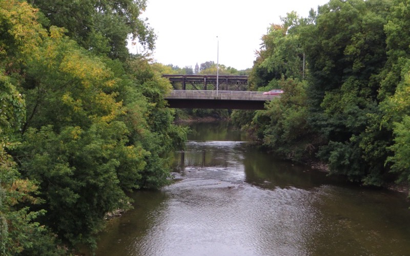 The Thames River in London, Ontario, lined with trees and crossed by a bridge